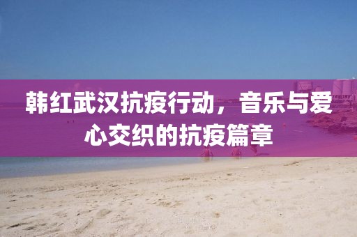 韩红武汉抗疫行动，音乐与爱心交织的抗疫篇章
