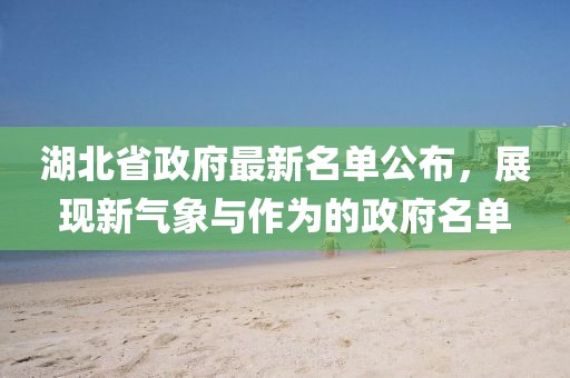 湖北省政府最新名单公布，展现新气象与作为的政府名单