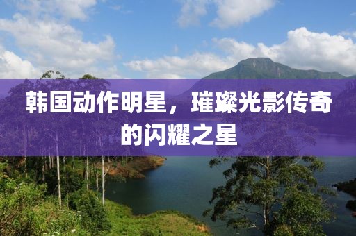 韩国动作明星，璀璨光影传奇的闪耀之星