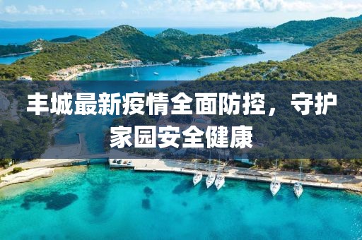 丰城最新疫情全面防控，守护家园安全健康