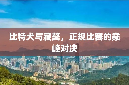 比特犬与藏獒，正规比赛的巅峰对决