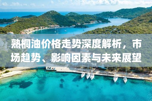 一叶十三刺 第19页