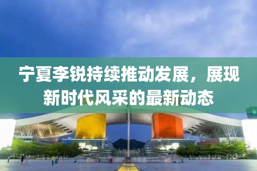 宁夏李锐持续推动发展，展现新时代风采的最新动态