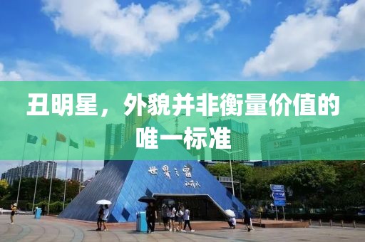 丑明星，外貌并非衡量价值的唯一标准