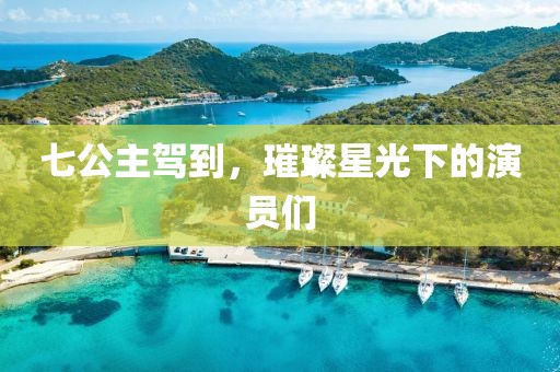 七公主驾到，璀璨星光下的演员们