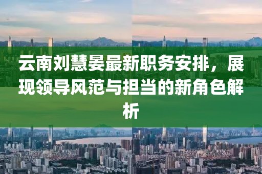 云南刘慧晏最新职务安排，展现领导风范与担当的新角色解析