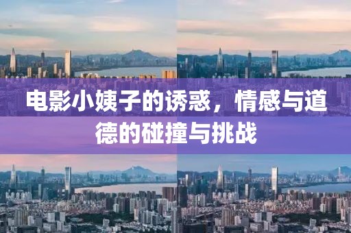 电影小姨子的诱惑，情感与道德的碰撞与挑战