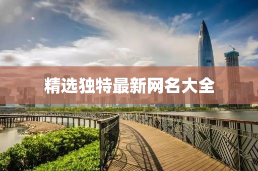精选独特最新网名大全