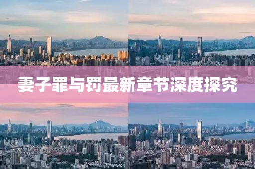 妻子罪与罚最新章节深度探究