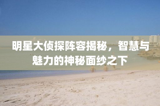 明星大侦探阵容揭秘，智慧与魅力的神秘面纱之下