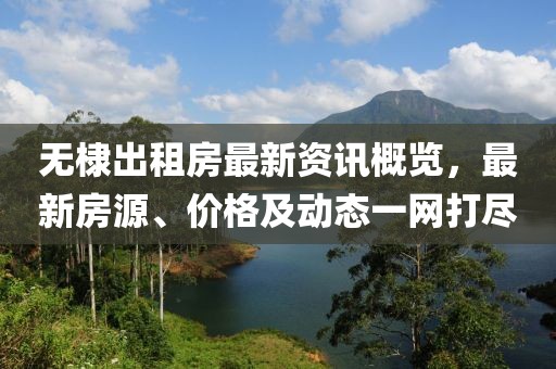 无棣出租房最新资讯概览，最新房源、价格及动态一网打尽