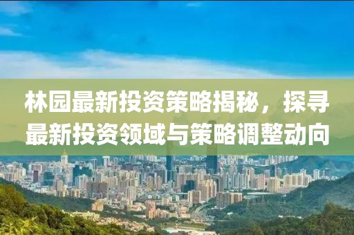 空自忆 第17页