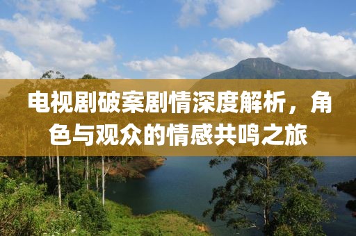 电视剧破案剧情深度解析，角色与观众的情感共鸣之旅