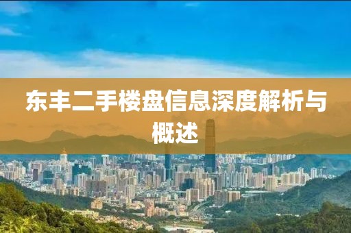 东丰二手楼盘信息深度解析与概述