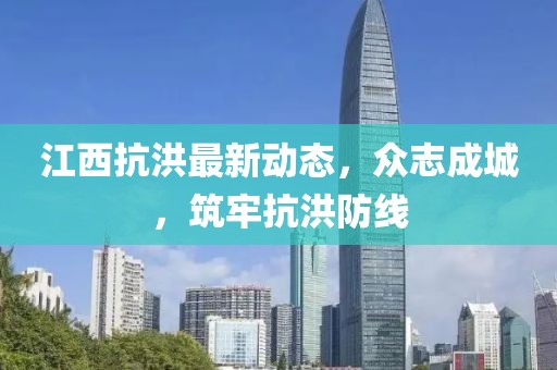 江西抗洪最新动态，众志成城，筑牢抗洪防线