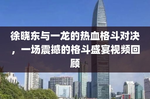 徐晓东与一龙的热血格斗对决，一场震撼的格斗盛宴视频回顾