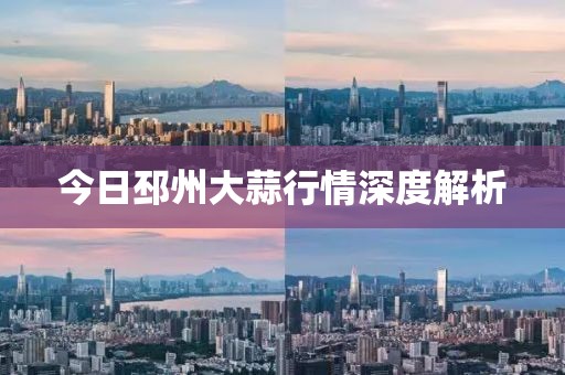 今日邳州大蒜行情深度解析