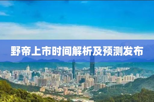 野帝上市时间解析及预测发布