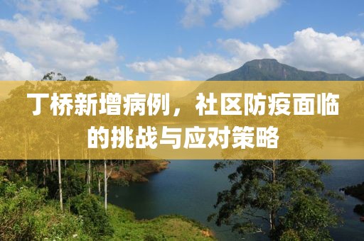 丁桥新增病例，社区防疫面临的挑战与应对策略