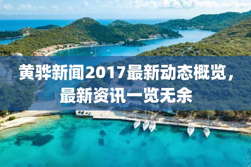 黄骅新闻2017最新动态概览，最新资讯一览无余
