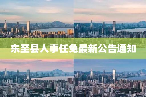 东至县人事任免最新公告通知