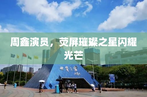 周鑫演员，荧屏璀璨之星闪耀光芒