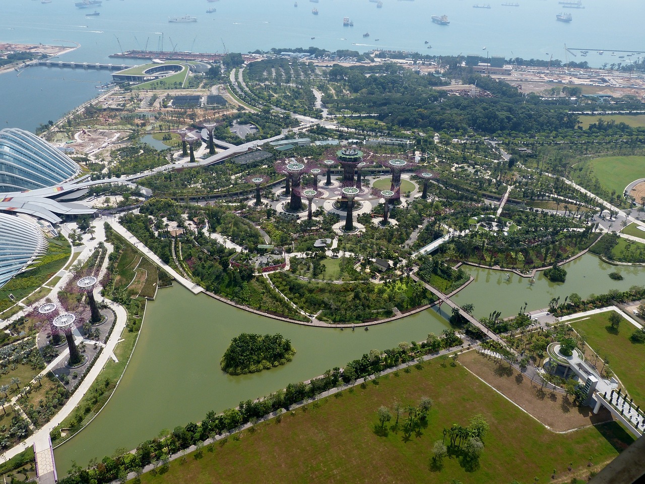 东方海洋股票最新动态，市场走势、前景展望与最新市场分析