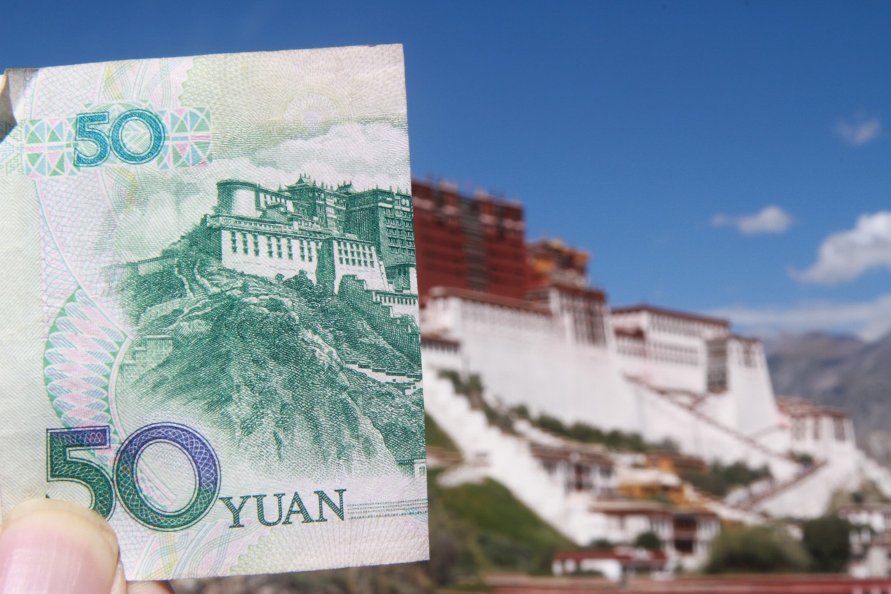 天三奇长乐胶囊价格揭秘，市场影响力与价格分析