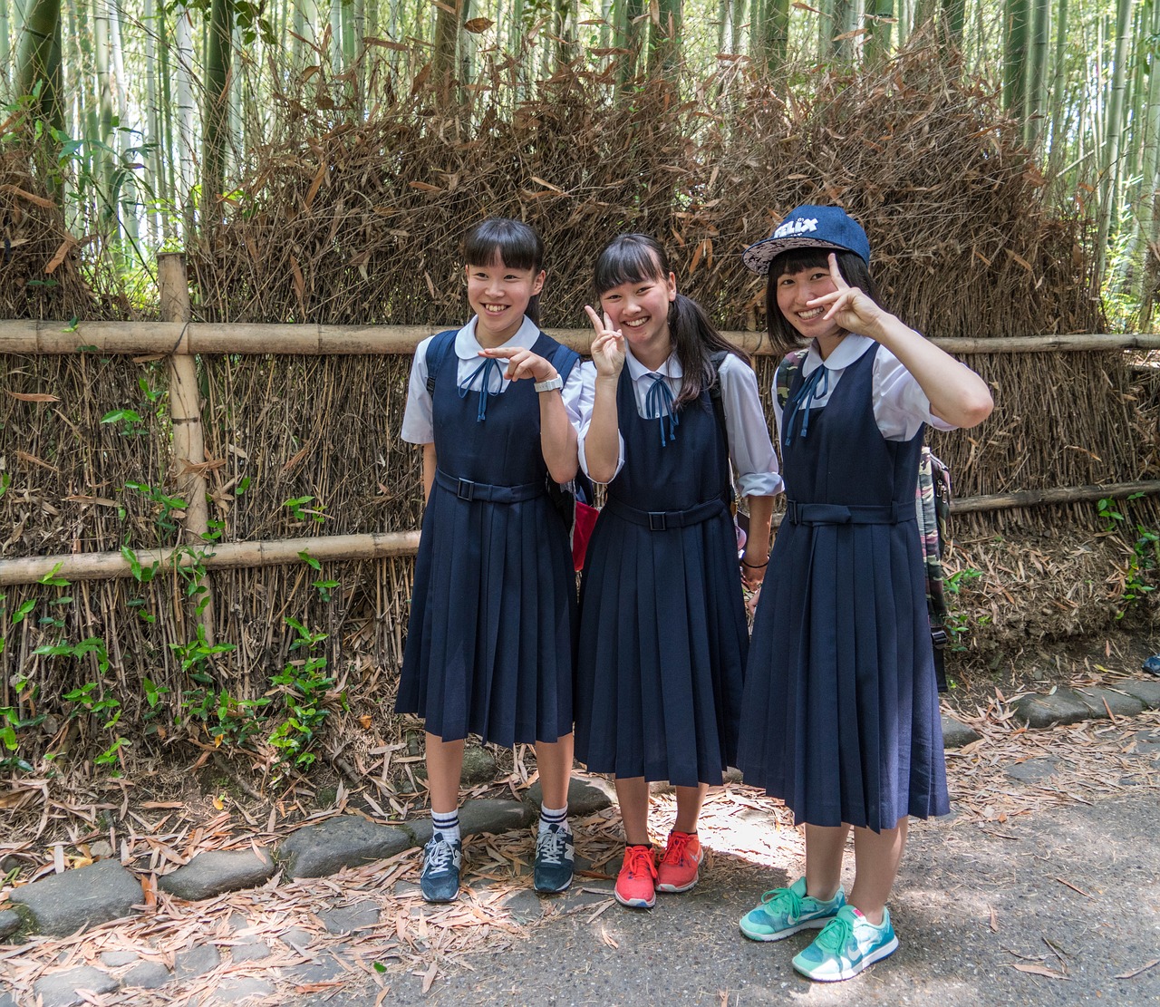 恰同学少年，热血青春电视剧下载之旅
