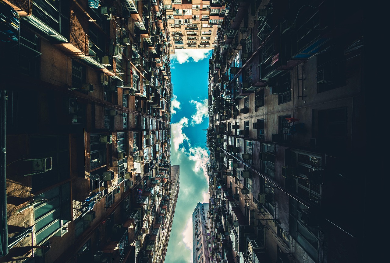 2024年12月 第17页