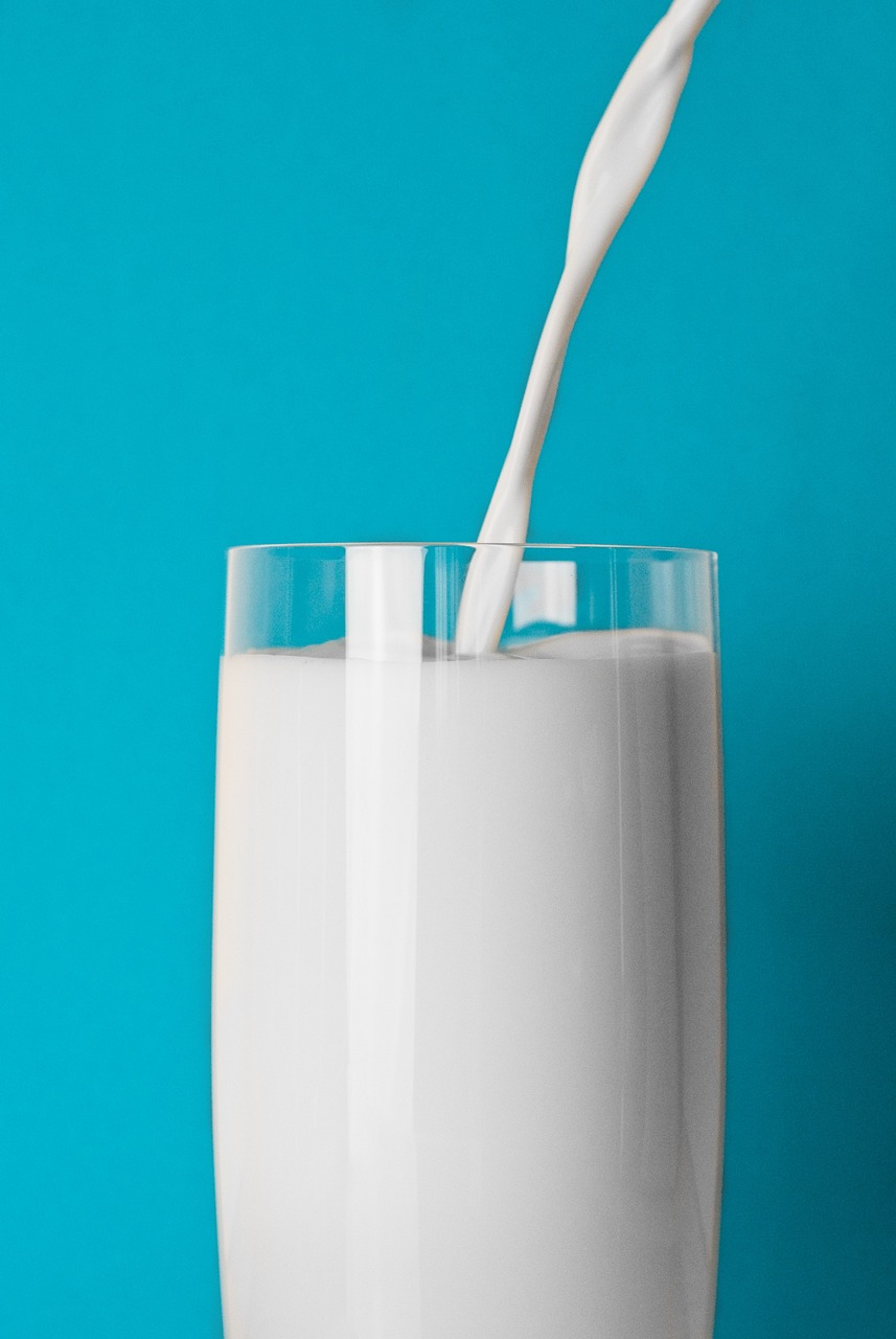 天润乳业股票深度解析，探究投资价值的奥秘