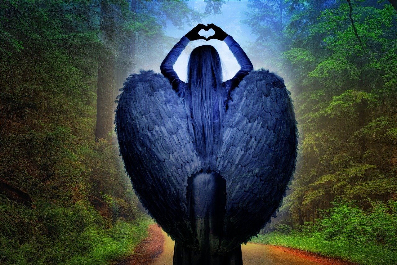 探索神秘幻兽世界的无尽魅力，最新幻兽揭秘！