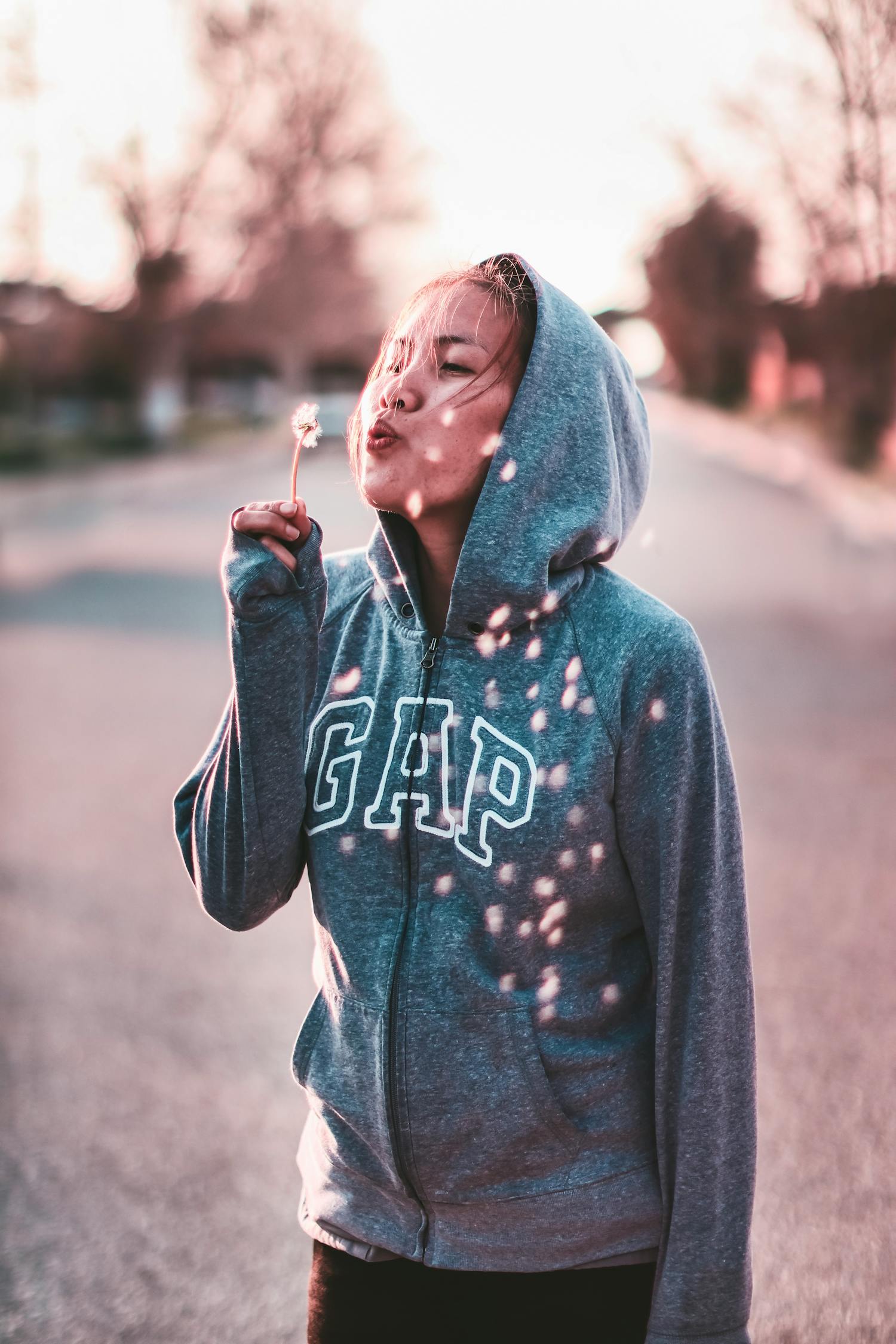 娱乐圈高情商明星，智慧与魅力的璀璨闪耀