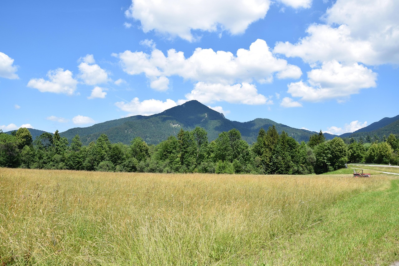陇川土地出售信息全解析