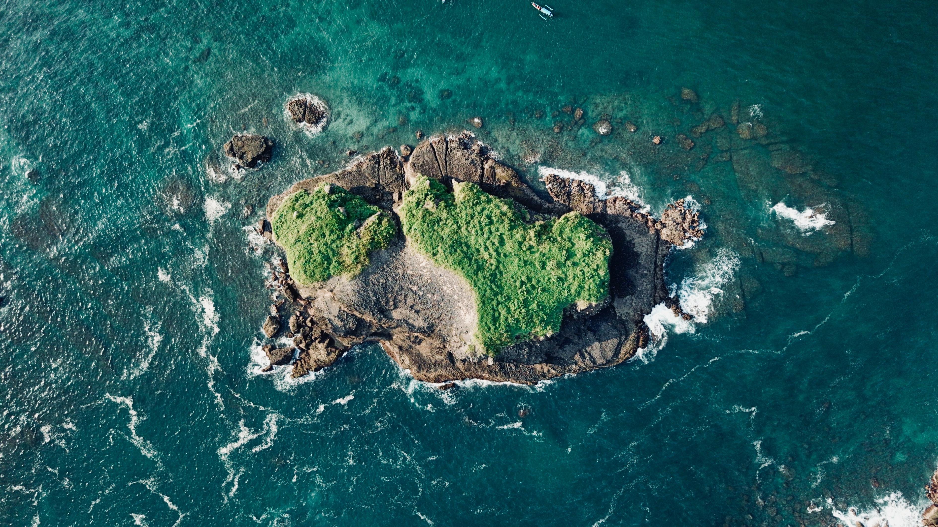 探索海洋奇幻之旅，鱼的动画电影