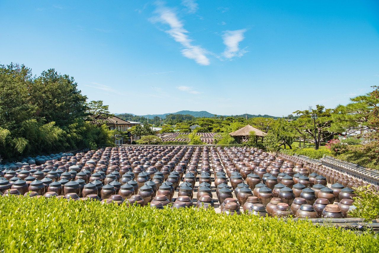 每日农经，探索2017年农业新趋势