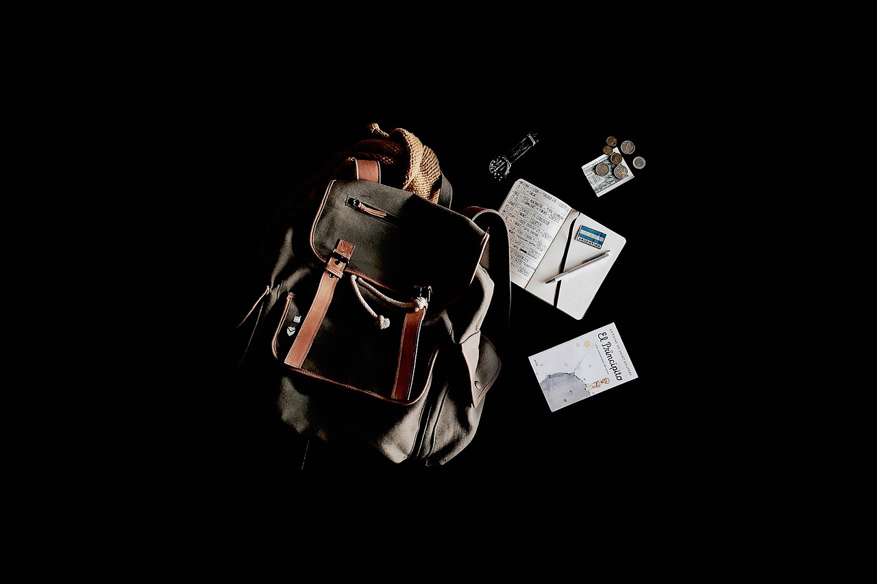 追书狂热新篇章，故事背后的启示与狂热追书之旅