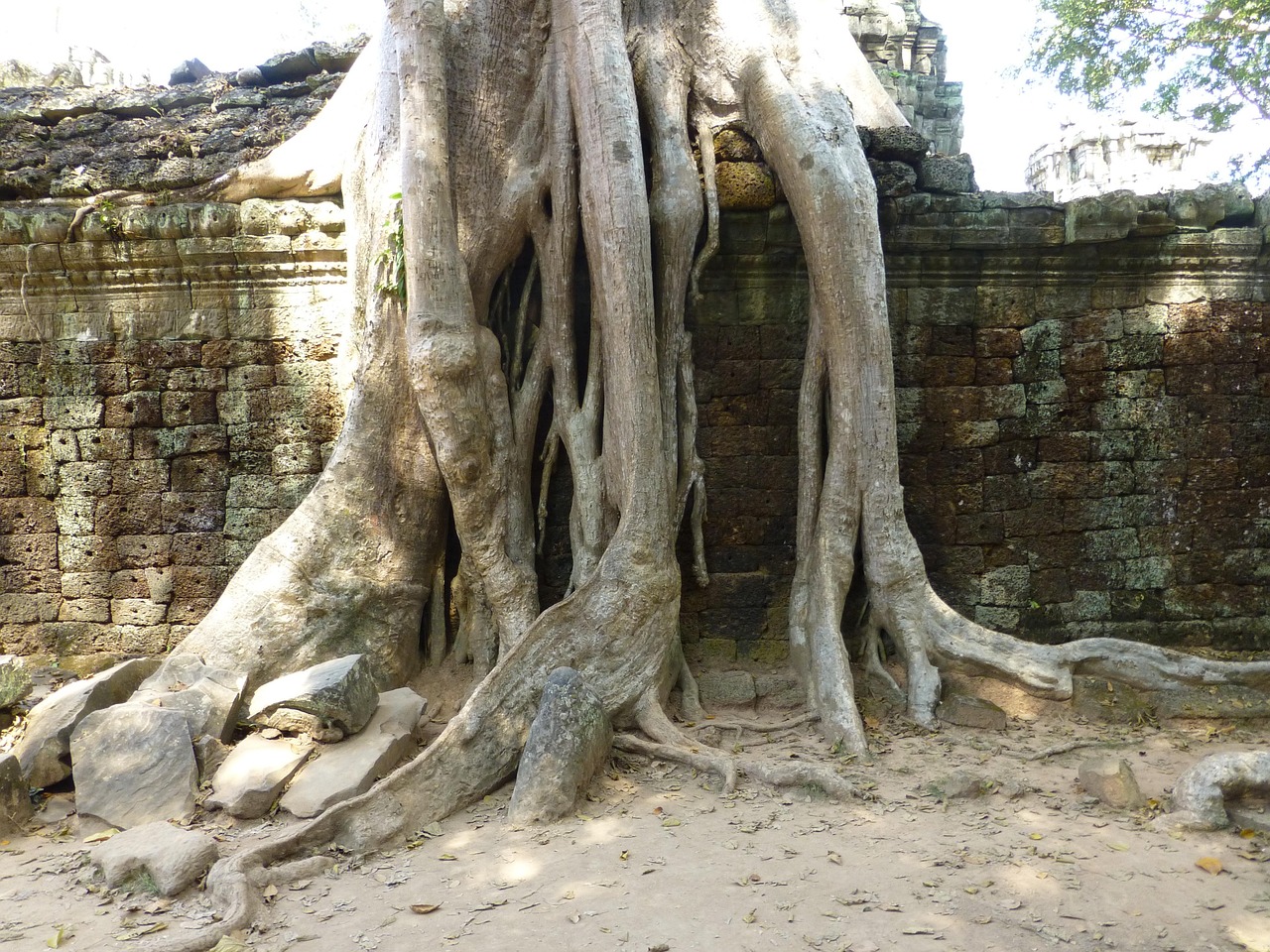 经典盗墓电影排行榜前十名，探险之旅与不朽之作
