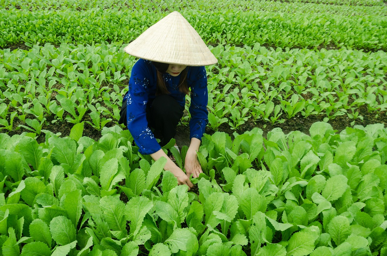 新会司前动态，引领地区发展的最新前沿讯息