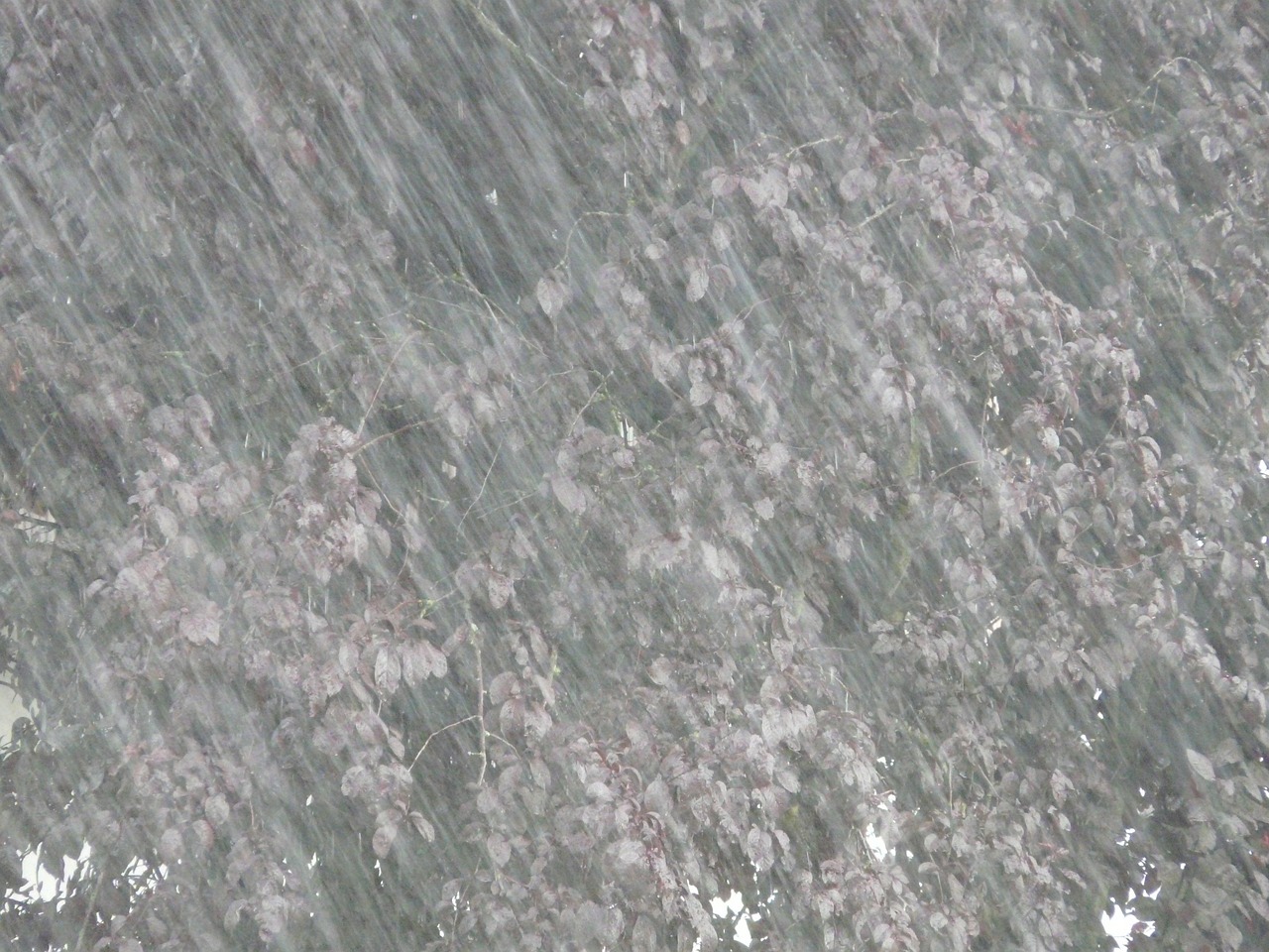 庄河大暴雨最新情况报告更新