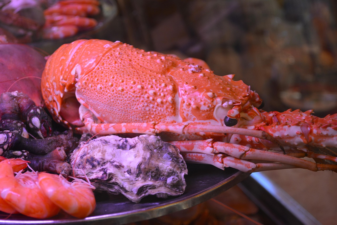 海霸王上市引领海洋食品行业新篇章