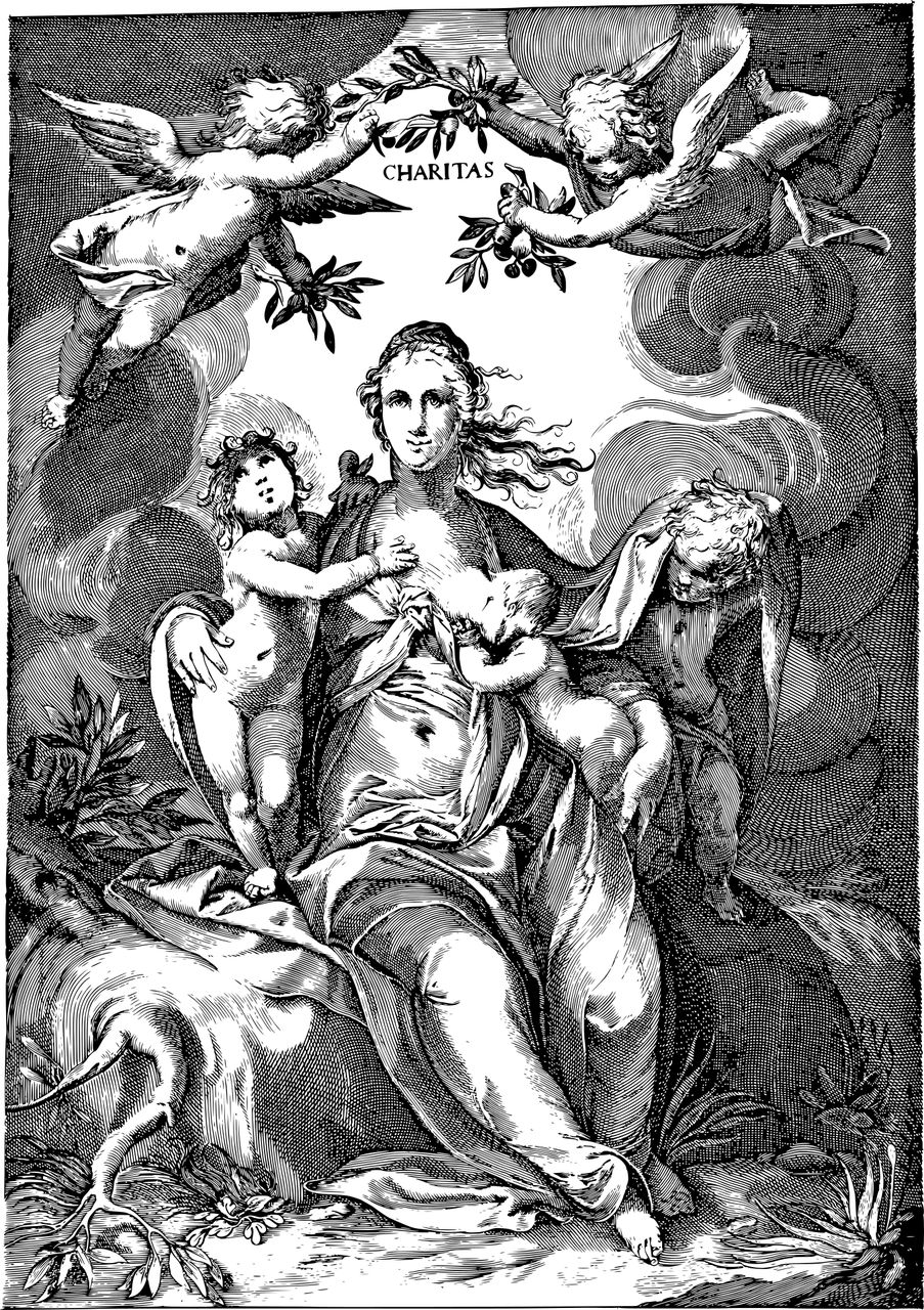 免费伦理电影的探索与反思，道德与艺术的碰撞点
