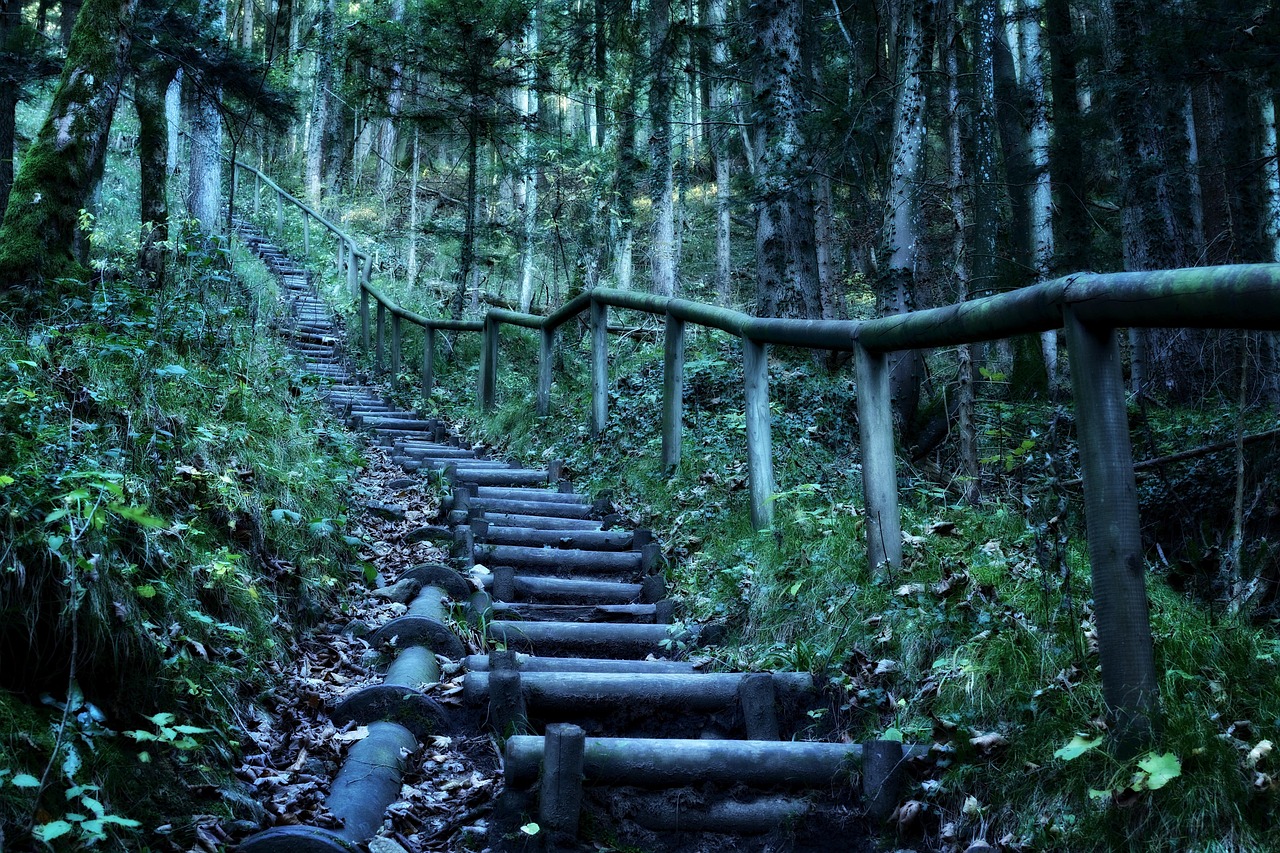 探寻神秘世界的冒险之旅，三游记下载链接